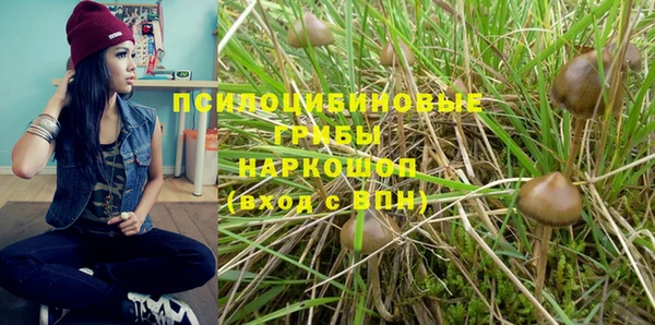 прущая мука Бородино